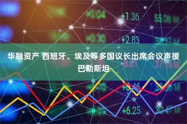 华融资产 西班牙、埃及等多国议长出席会议声援巴勒斯坦
