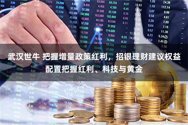 武汉世牛 把握增量政策红利，招银理财建议权益配置把握红利、科技与黄金