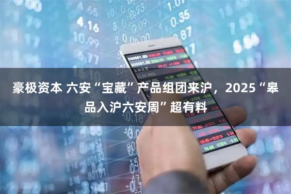 豪极资本 六安“宝藏”产品组团来沪，2025“皋品入沪六安周”超有料