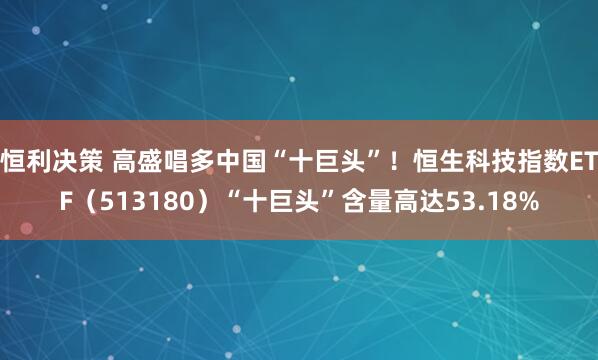 恒利决策 高盛唱多中国“十巨头”！恒生科技指数ETF（513180）“十巨头”含量高达53.18%