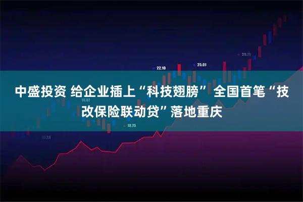 中盛投资 给企业插上“科技翅膀” 全国首笔“技改保险联动贷”落地重庆