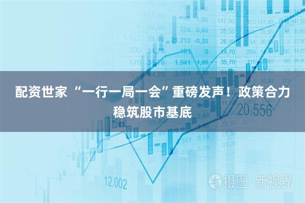 配资世家 “一行一局一会”重磅发声！政策合力稳筑股市基底