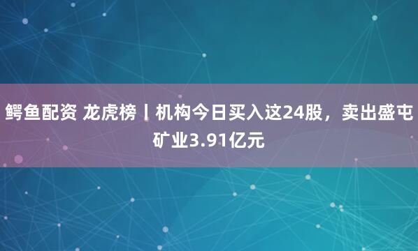 鳄鱼配资 龙虎榜丨机构今日买入这24股，卖出盛屯矿业3.91亿元