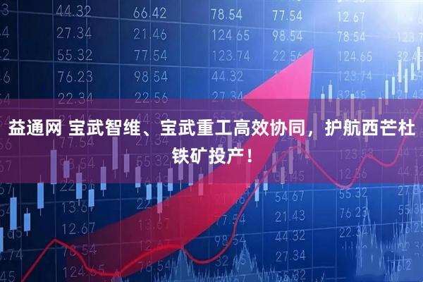 益通网 宝武智维、宝武重工高效协同，护航西芒杜铁矿投产！