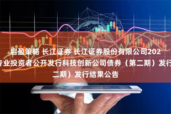 启盈策略 长江证券 长江证券股份有限公司2025年面向专业投资者公开发行科技创新公司债券（第二期）发行结果公告