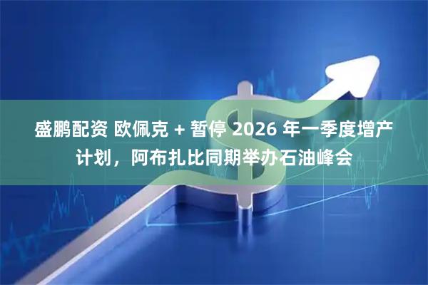 盛鹏配资 欧佩克 + 暂停 2026 年一季度增产计划，阿布扎比同期举办石油峰会